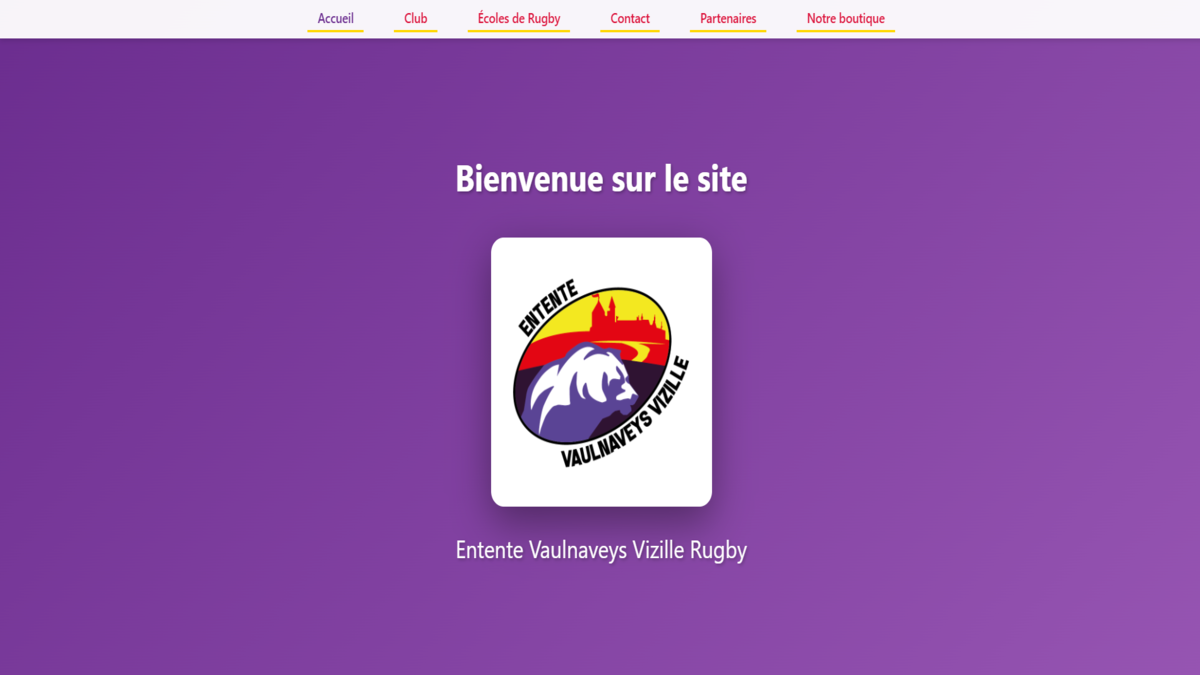 Aperçu du site web 1